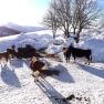 Winter am Höchbauernhof, © Höchbauernhof