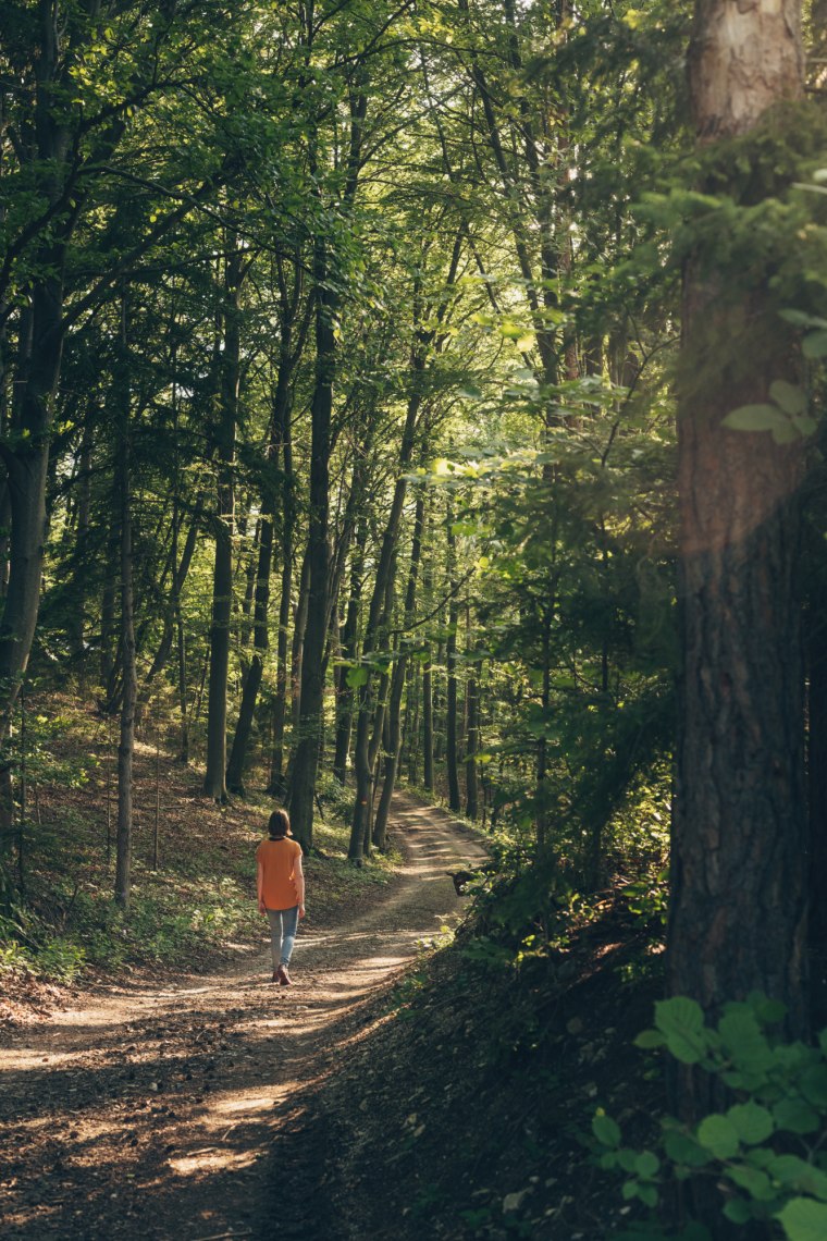 Frau spaziert auf einem Weg im Wald.