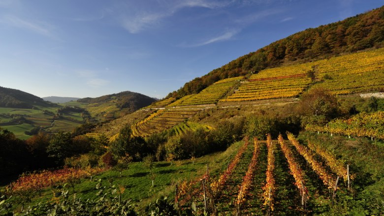 wein-wachau-herbst-nutzungsrecht-vorhanden-c-weingut-graben-gritsch-petr-blaha-28, © Petr Blaha