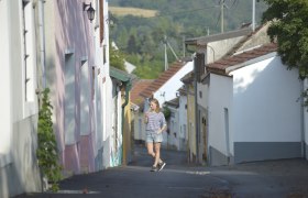 Kellergasse Schiltern, © POV, Robert Herbst