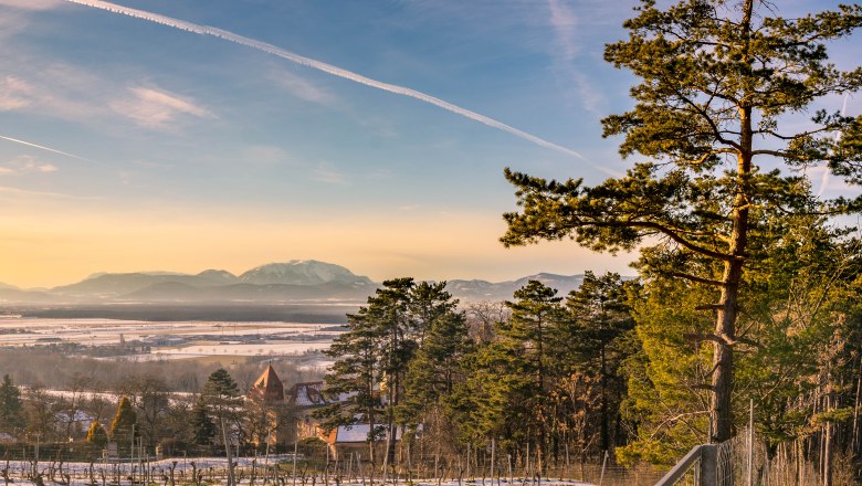 Winder am Blickplatz Eichbüchl, © Wiener Alpen, Florian Luckerbauer