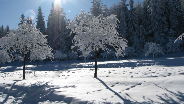 Naturpark Hohe Wand, © Naturpark Hohe Wand