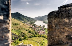 Blick auf Spitz, Ruine Hinterhaus, © Wachau-Nibelungengau-Kremstal