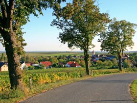 Zu den Marterln, © Weinviertel Tourismus / Wolfgang Gerzer