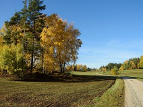 Kinzenschlag-Wanderweg, © Josef Kettinger