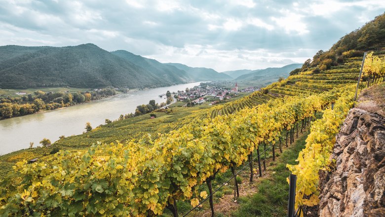 Blick auf Weißenkirchen, © Domäne Wachau