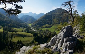 Naturpark Falkenstein, © Wiener Alpen, Foto: Franz Zwickl