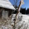 Ferienhaus mitten im Wald, © Dieter Juster