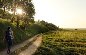 Jakobsweg Donau, © Donau Niederösterreich Tourismus GmbH