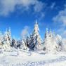 Schneeschuhwanderung, © Steiner