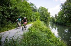 Aulandschaft entlang dem Triestingauradweg, © Velontour_Heiko Mandl