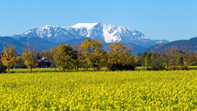 St. Egyden am Steinfeld mit Blick auf den Schneeberg, © Wiener Alpen, Franz Zwickl