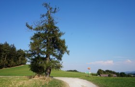 Maierhöfen - Kulma, © Wiener Alpen in Niederösterreich - Alpannonia