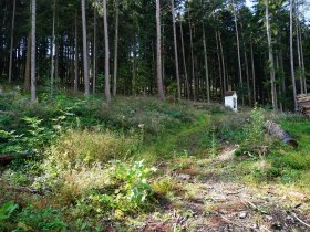 Marterl am Pilgerweg, © Gottfried Grossinger