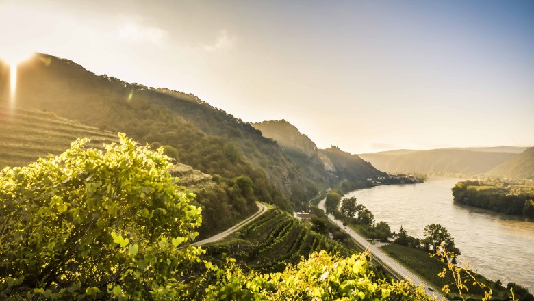 Dürnstein mit Donau, © Robert Herbst