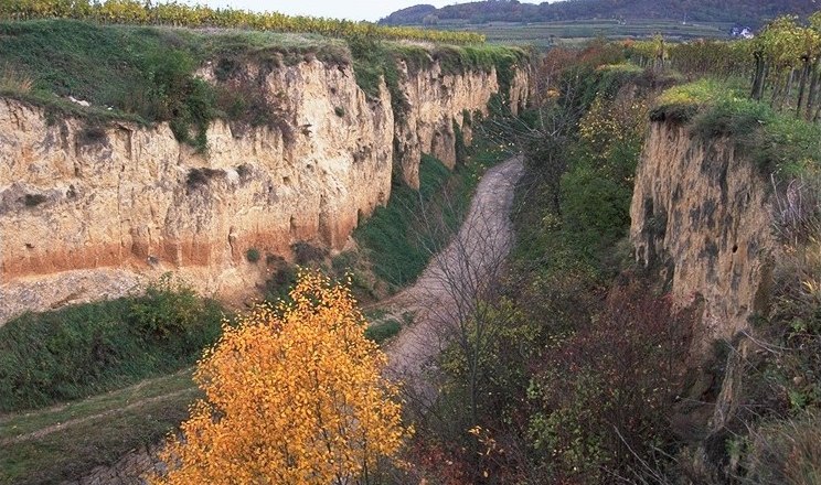 Zellergraben, © Werner Gamerith