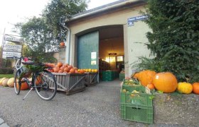 Ab-Hof Verkauf, © Biohof Bona Terra