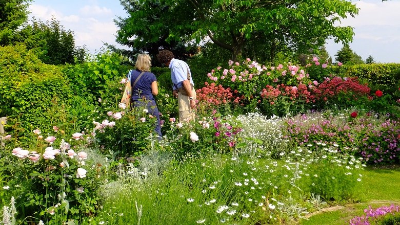 Rosenpracht im Schaugarten, © "Natur im Garten" Schaugärten