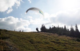 Paragleiter am Ötscher, © Karas