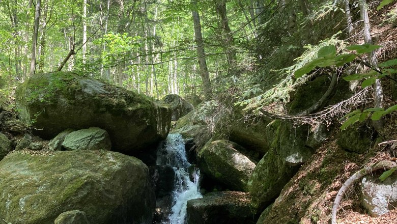 Ysperklamm, © Frühstückspension Gerstbauer