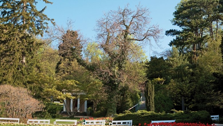 Frühling im Kurpark Baden, © Lois Lammerhuber