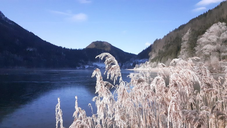 Lunz am See, © Fam. Mayr