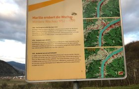 Infotafel auf der Marillenmeile beim Glauberkreuz, © Donau NÖ Tourismus/JS