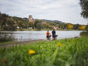 Donauradweg Weitenegg, © Wachau-Nibelungengau-Kremstal