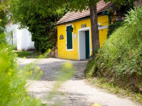 Kellergasse, © Donau Niederösterreich - Kamptal-Wagram-Tullner Donauraum