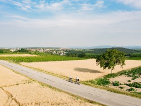 Aussicht auf Stratzing, © Donau NÖ/Mara Hohla