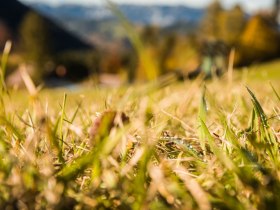 Herbstliche Wanderung, © Wiener Alpen in Niederösterreich - Wechsel