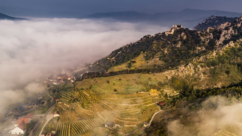 Ruine Dürnstein in der Herbstlandschaft, © Robert Herbst