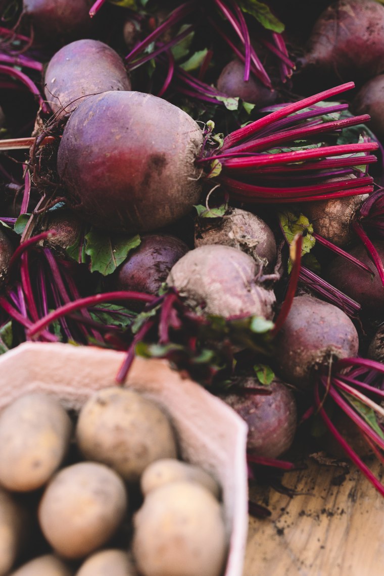 Einen Markttag mit Slow Food genießen., © Mara Hohla