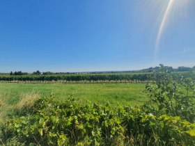 Landschaft, © Wienerwald