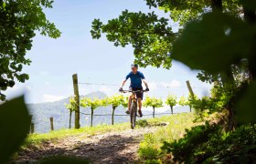 Mountainbiker hoch oben mit Aussicht, © Donau NÖ Tourismus/Barbara Elser