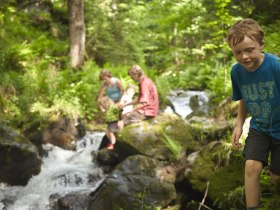 Unterwegs am wilden Wasser, © Wiener Alpen/ Florian Lierzer