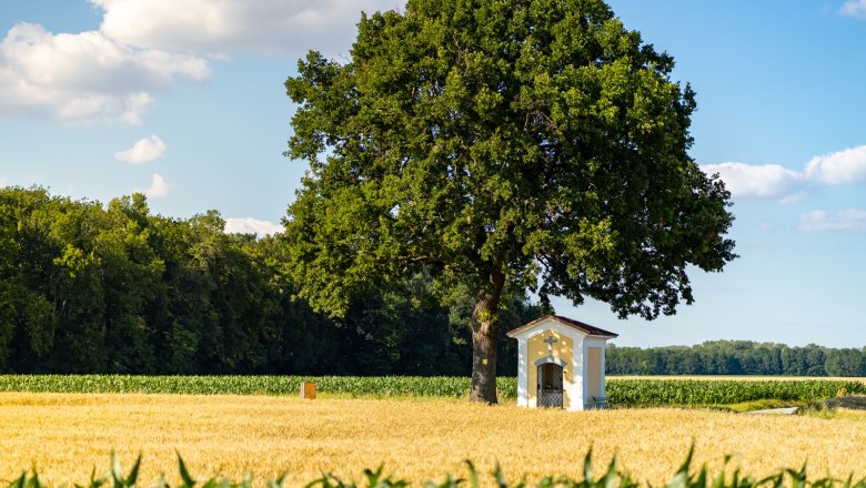 Loechinger-Kapelle, © Marktgemeinde Lichtenwörth Philip Steyrer