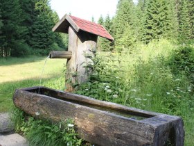 Entlang des Lichtbergweges, © Tourismusverein Bärnkopf