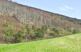 Naturpark Purkersdorf, © Verein Naturparke Purkersdorf