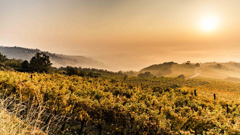 Herbststimmung in Krems, © Robert Herbst