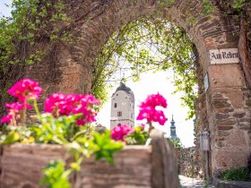 Rebentor in Krems, © Robert Herbst