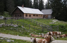 Hochkar - Ringkogel - Schwarzalm - Hochreit, © Mostviertel