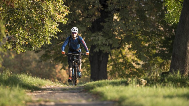 Direkter Einstieg in schöne Trails und Radrouten ab Höldrichsmühle, © Wienerwald Fotodatenbank