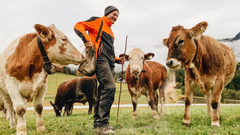 Auf der Alm, © Heidi Zettel