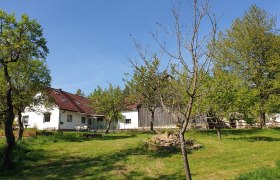 Die Alm/Hof, © Die Alm in Schöllbüchl, Stefanie Reisenberger