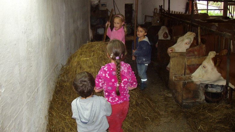 Bauernhof Waira, © Fam. Schauer-Zeitlhofer