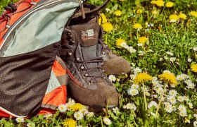 Wandern am Weitwanderweg Nibelungengau, © Donau Niederösterreich / Klaus Engelmayer