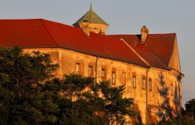 Schloss Jedenspeigen, © Weinviertel Tourismus / Mandl