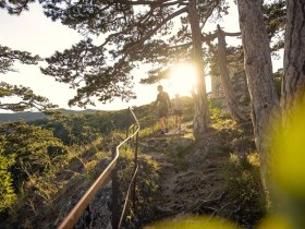 Wandern im Wienerwald, © Wienerwald / Studio Kerschbaum