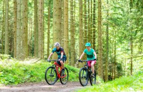 MTB_Wald, © (C) Wolfgang Wutzl